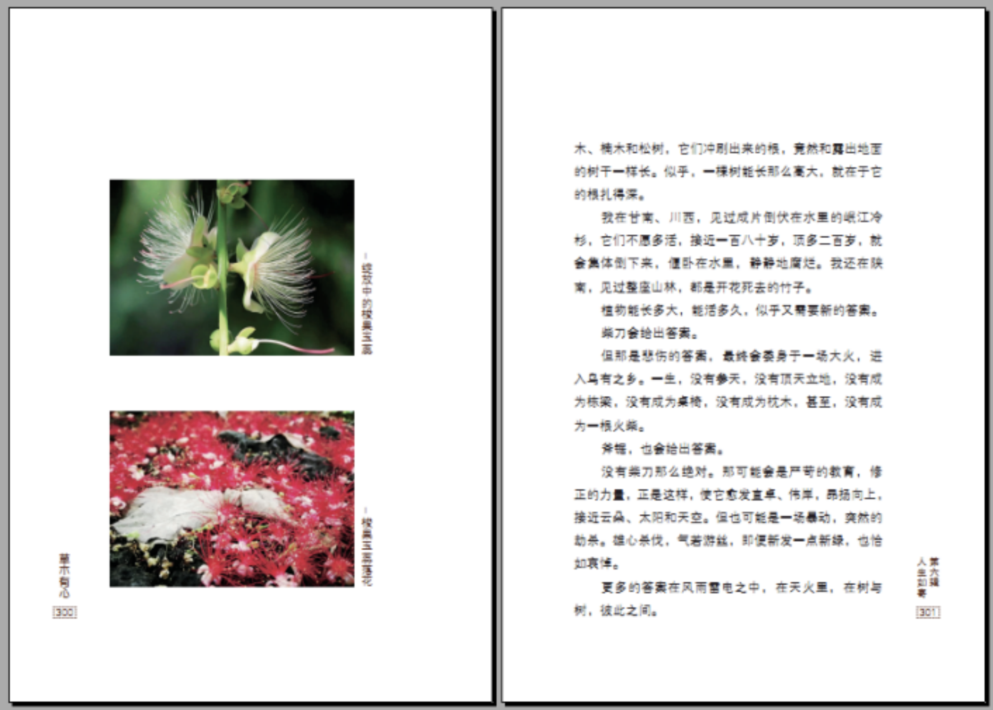 1632473232960470.png image.png