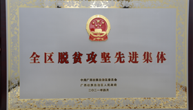 集团公司党群工作部荣获“全区脱贫攻坚先进集体” 称号