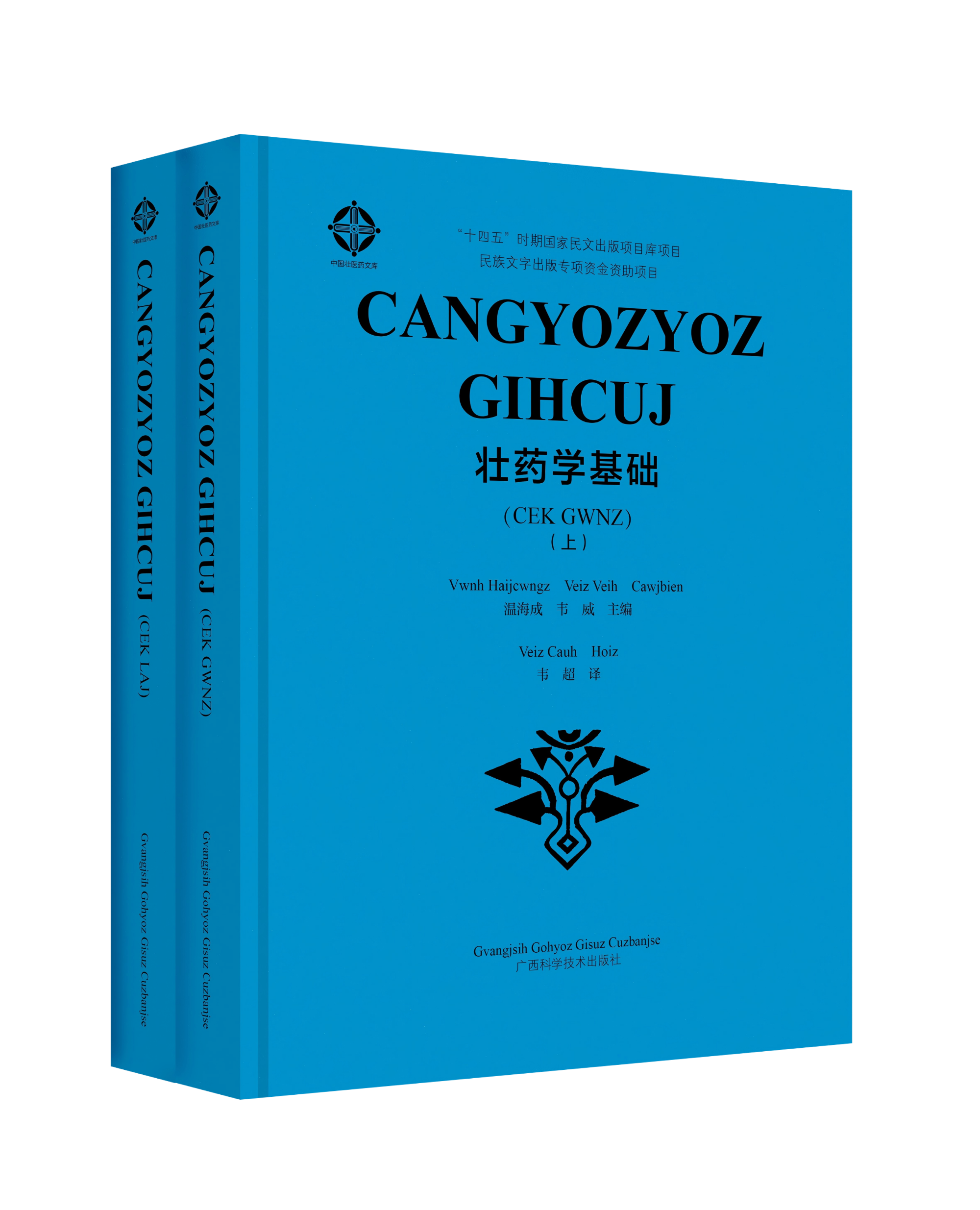 《壮药学基础》（壮文版）
